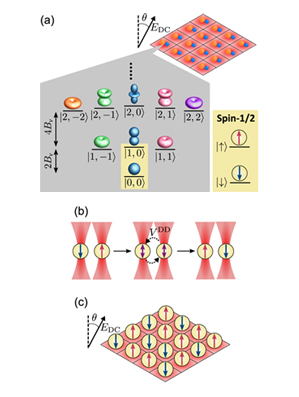 Ultracold molecules for quantum simulation: rotational coherences in CaF and RbCs