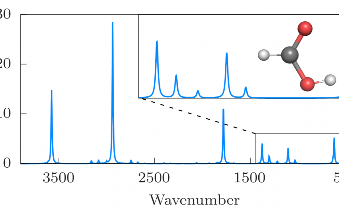 Vibrational infrared and Raman spectra of HCOOH from variational computations